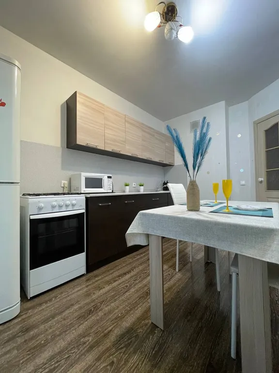 Уютная однокомнатная квартира от сети гостевых квартир Олимп