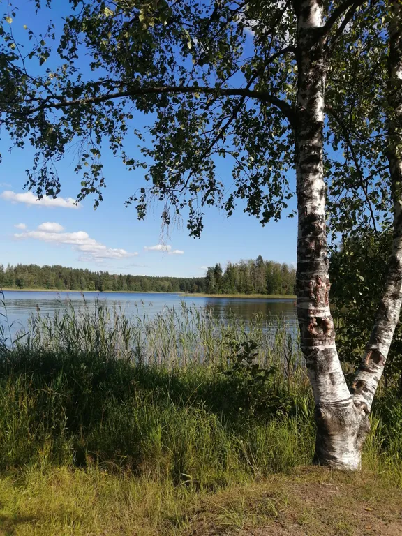 Уютный коттедж в скандинавском стиле