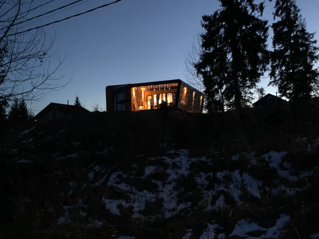 Коттедж Уютный современный дом в сосновом лесу у озера — Запорожское