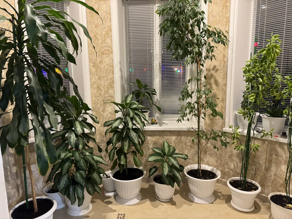 Уютный дом недалеко от моря