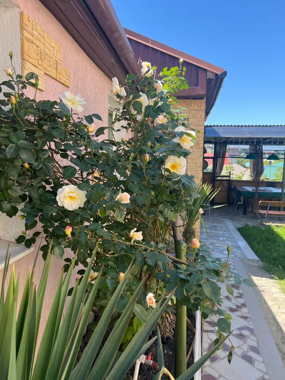 Коттедж Гостевой дом с беседкой — Новороссийск