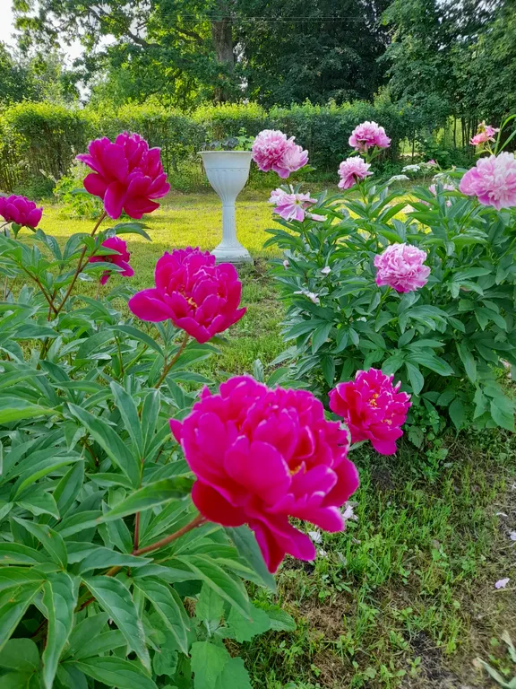 Уютный и комфортный дом вблизи Михайловского