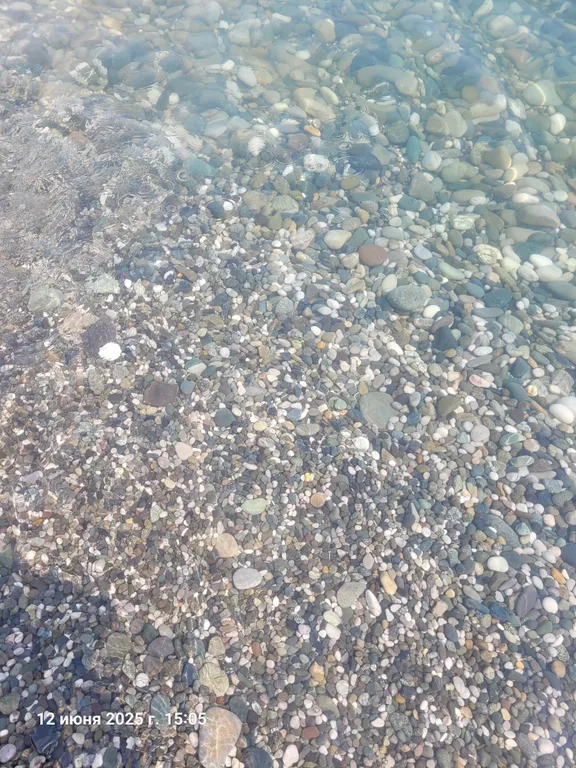 Эко домик у моря