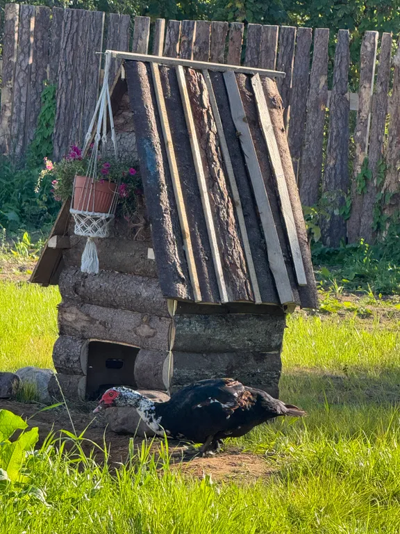 Избовье Добрыня - изба с русской печью
