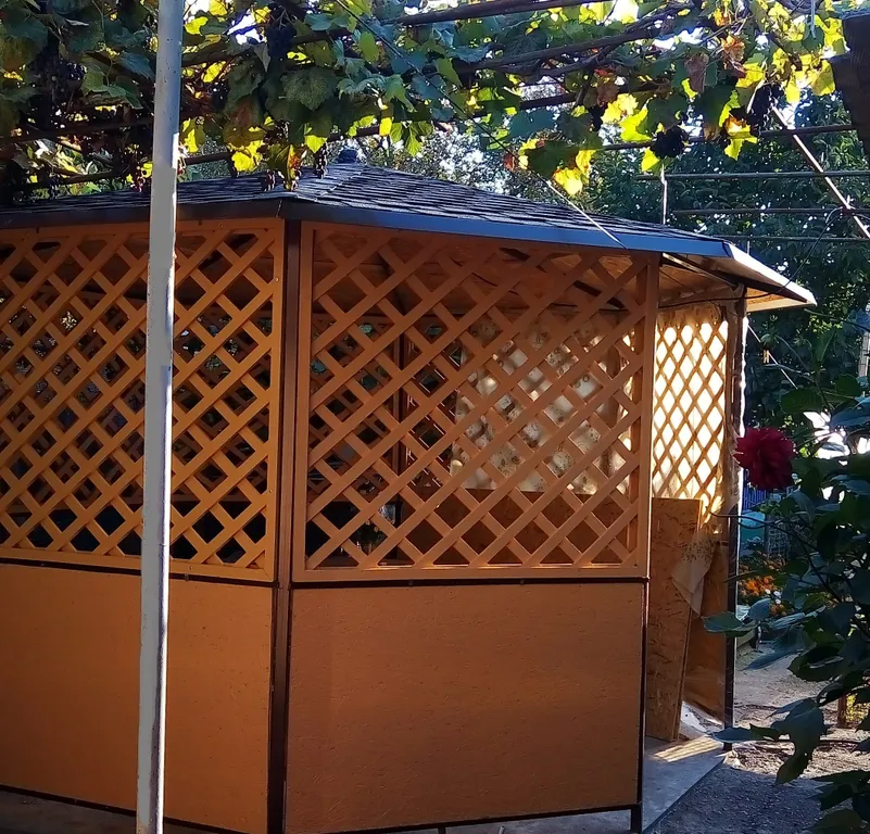 Домик во дворе на 1 хозяина