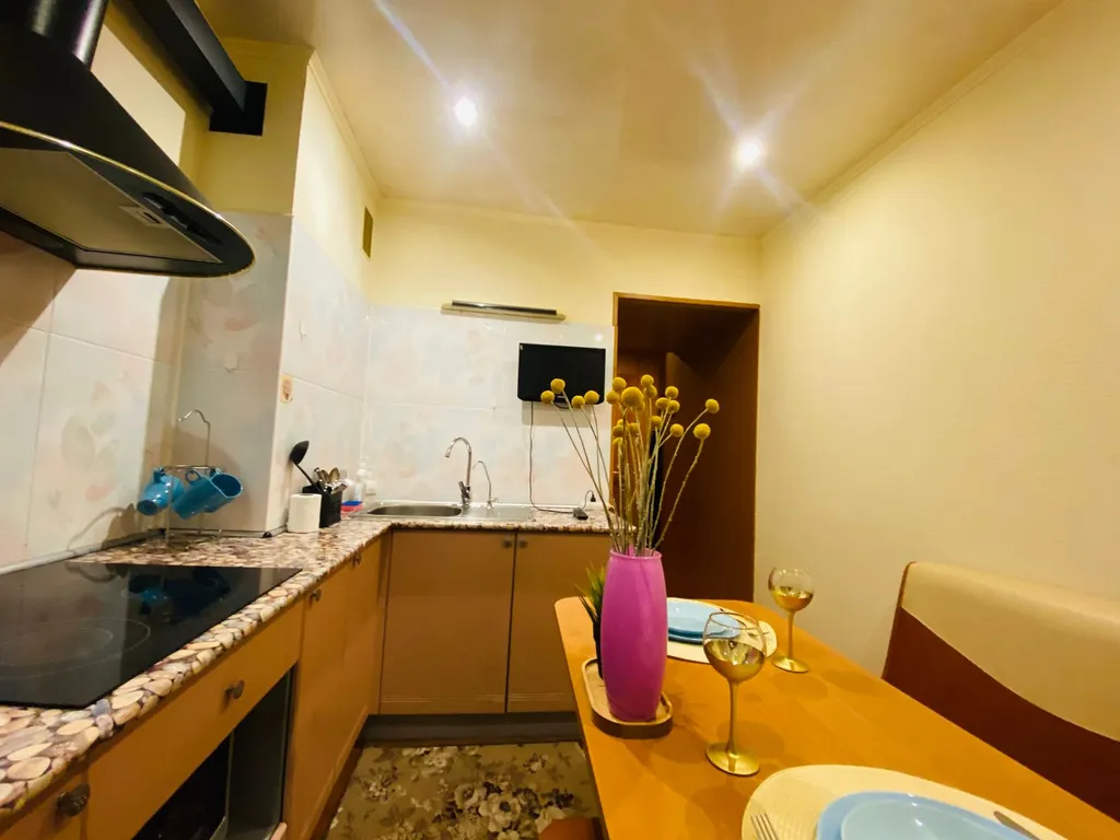 1-комнатная квартира с красивым видом на город