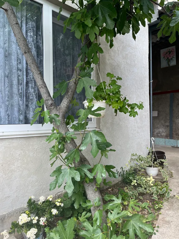 Домик-студия с новым ремонтом и двориком