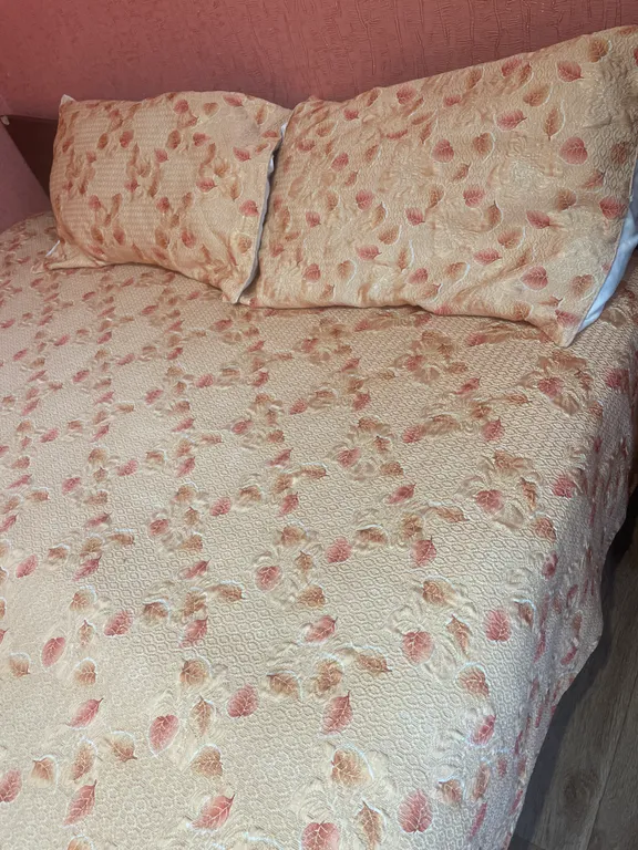 Просторная квартира на Желтоксан