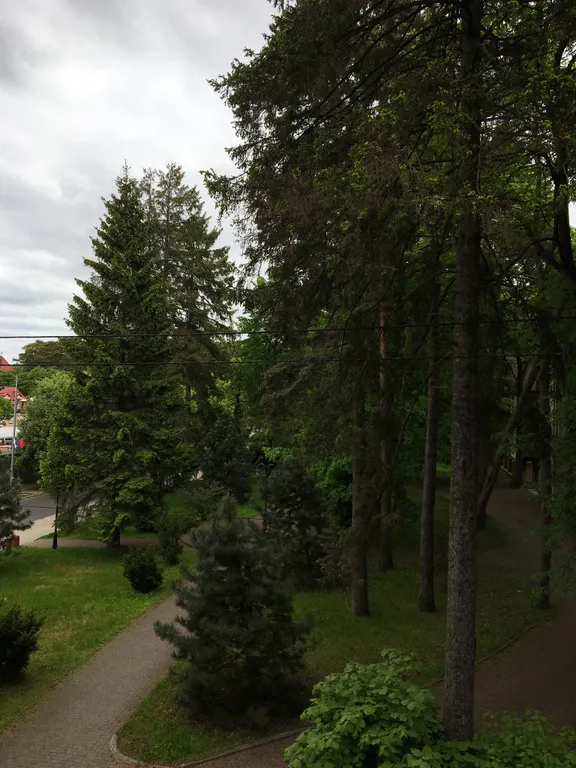 Квартира Квартира Раушен-Апарт — Светлогорск