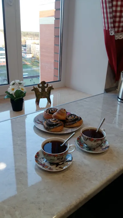 Квартира 1-комнатная Квартира — Луга