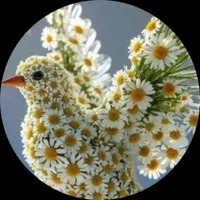 Лариса Леонидовна Вихтерская