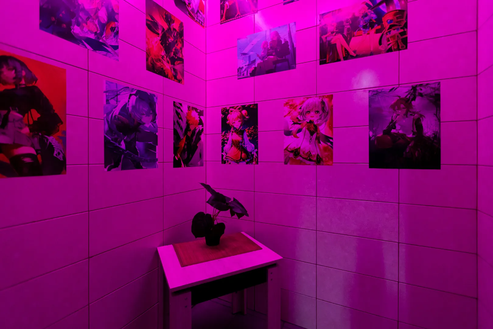 Фото