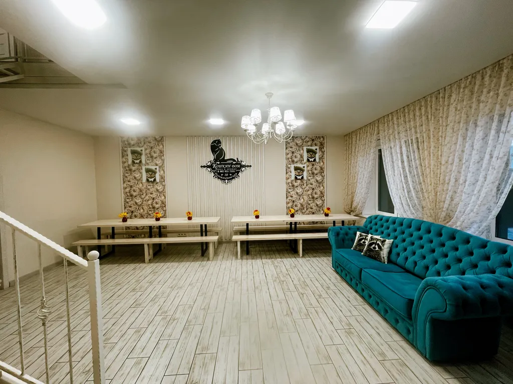 Кошкин дом в Комарово