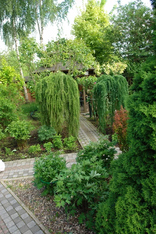 Дом в ботаническом саду