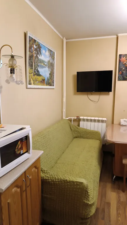 Просторная квартира с террасой