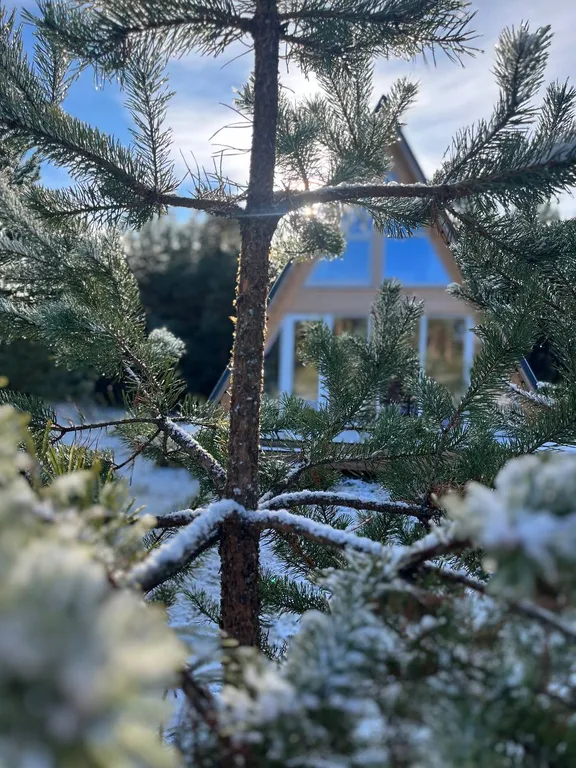 Домик из pinterest в лесу