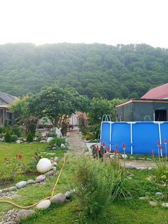 Милый дом в горах Адыгеи