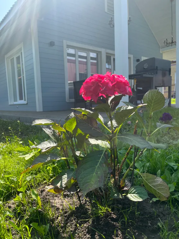 Дом в аренду с баней