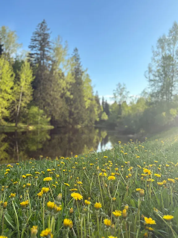 Уютный жилой зимний дом в сказочно живописном месте