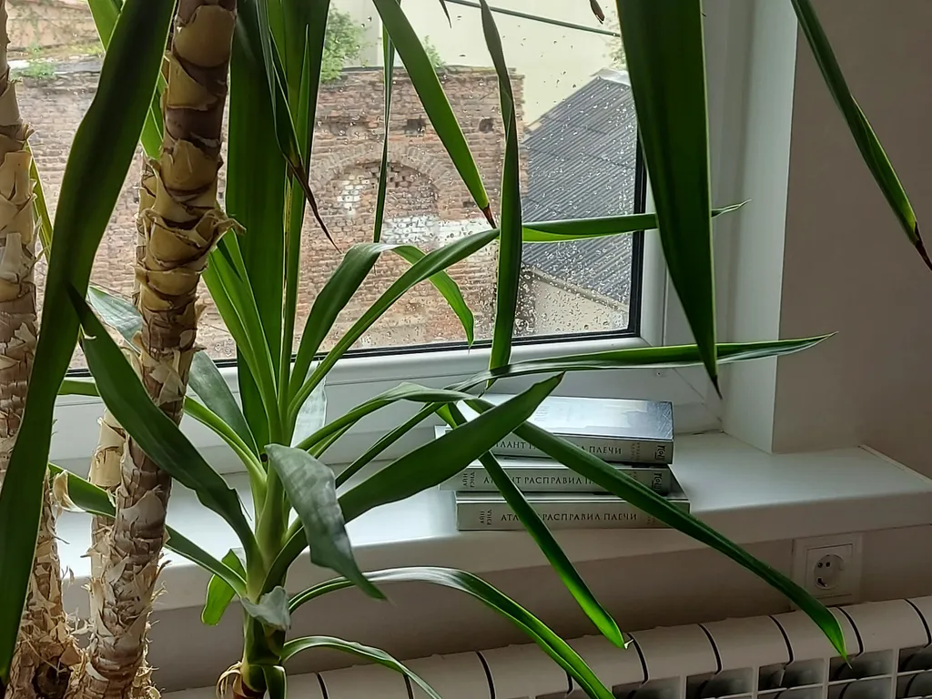 Просторная студия с видом на старинный Гродно