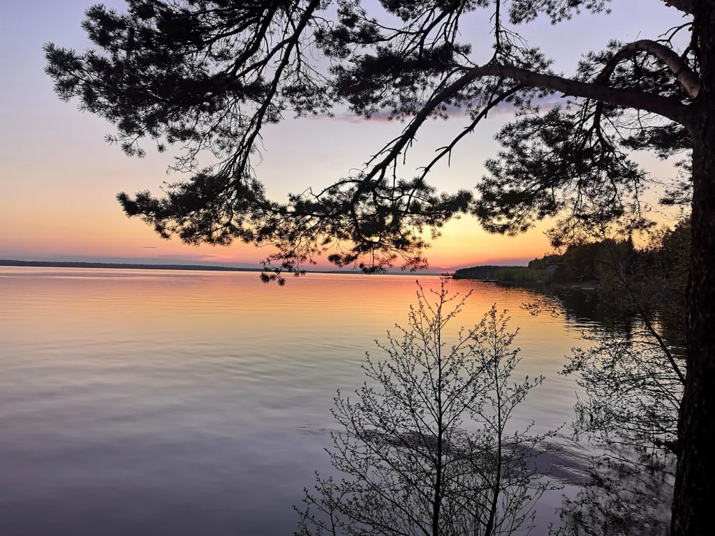 Коттедж Уютный домик на озере Волго на Селигере в сосновом бору — Турбаза Чайка