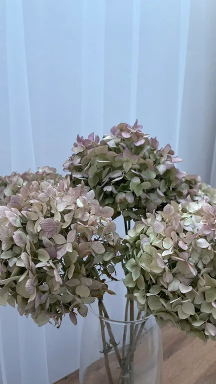 Прекрасный дом с видом на море