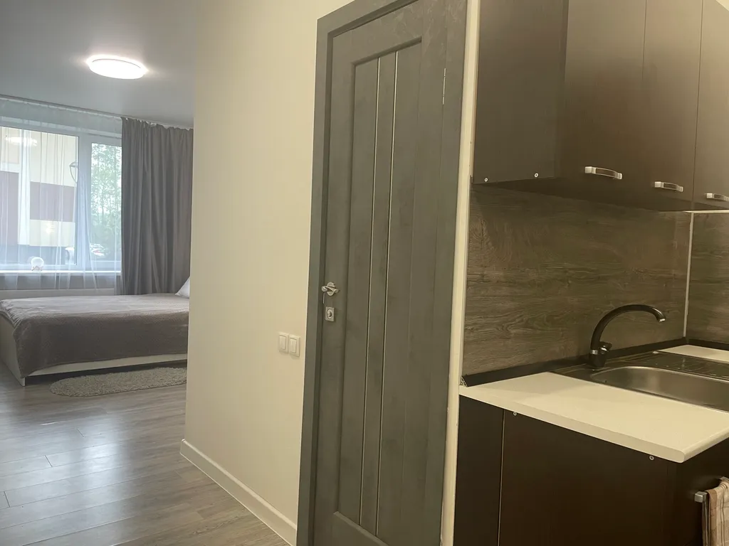 Просторная квартира-студия с отдельной кухней