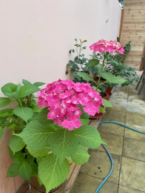 Коттедж Уютный домик в центре города — Махачкала