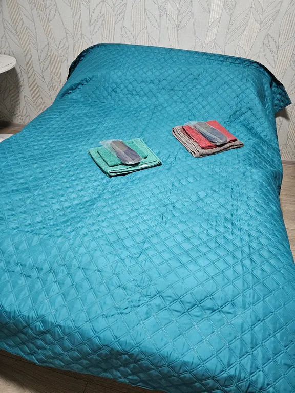 Уютная квартира в 2 небольших остановках от южного вокзала