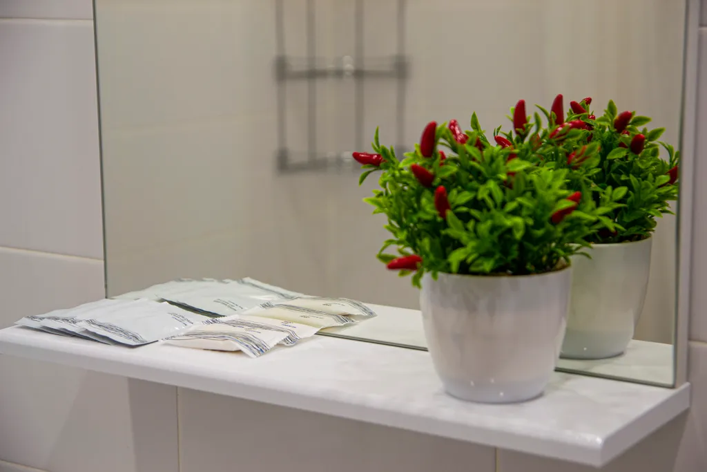 Апартаменты стандарт