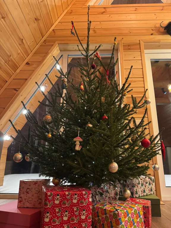 Домик с видом на лес