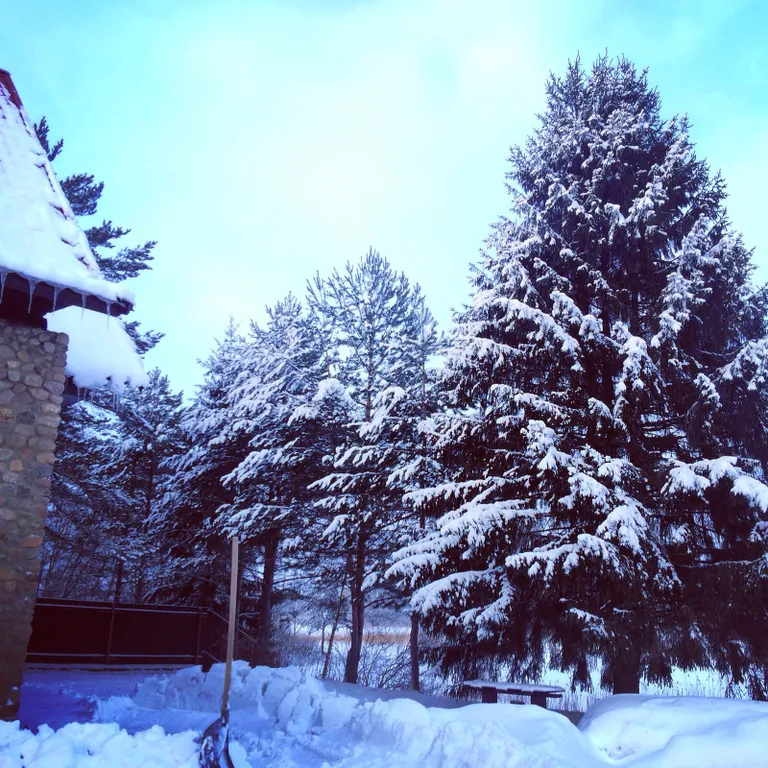 Классный домик прямо на берегу озера Селигер