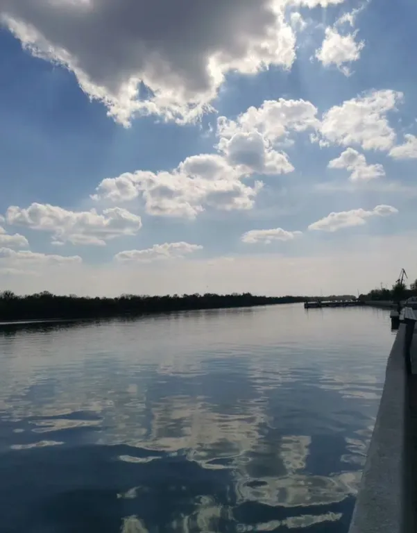 Квартира Уютная квартира у набережной — Светлый