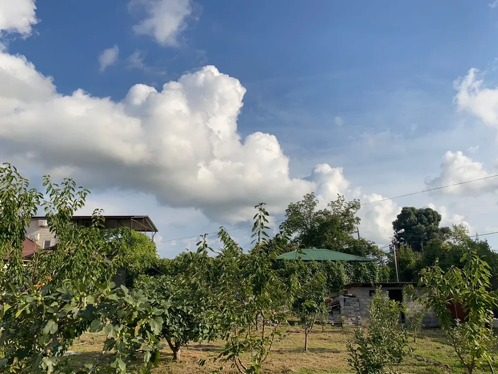 Коттедж Коттедж Cottage house — Сухум