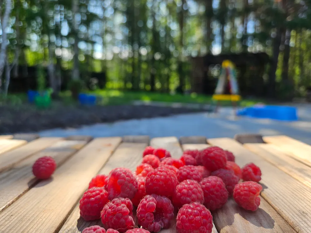 Загородный дом под соснами с сауной и чаном