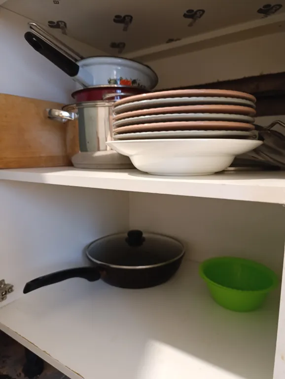 Городские джунгли в самом сердце