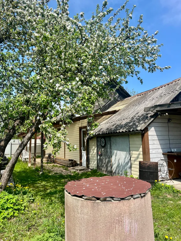 Коттедж Милый домик рядом с озером Ильмень — Великий Новгород