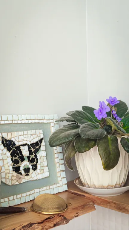 Современный дом с панорамными окнами и сауной