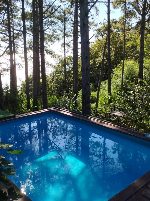 Студия с видом на лес и море