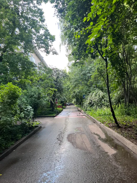 Уютная, чистая квартира в центре города