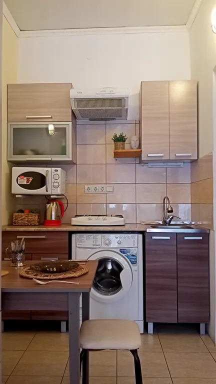 С видом на берег озера с лебедями, в историческом центре, с 1 кроватью