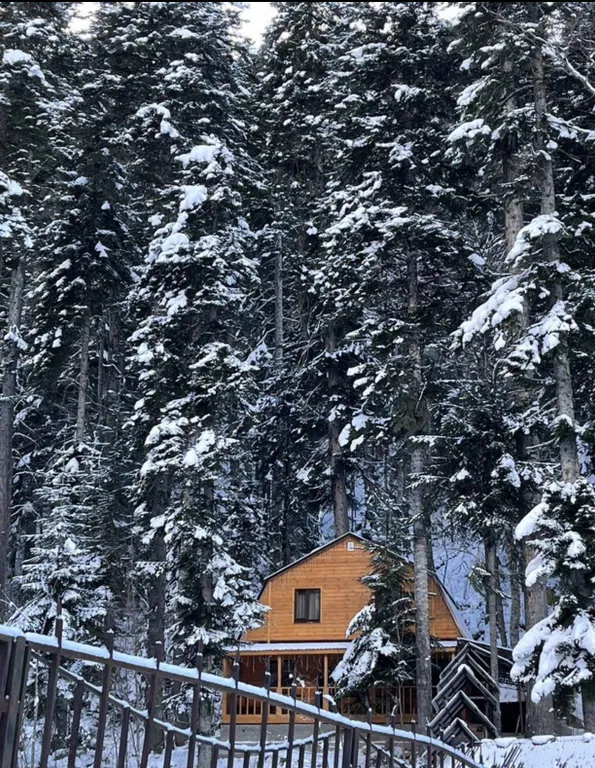 Уютный домик в лесу