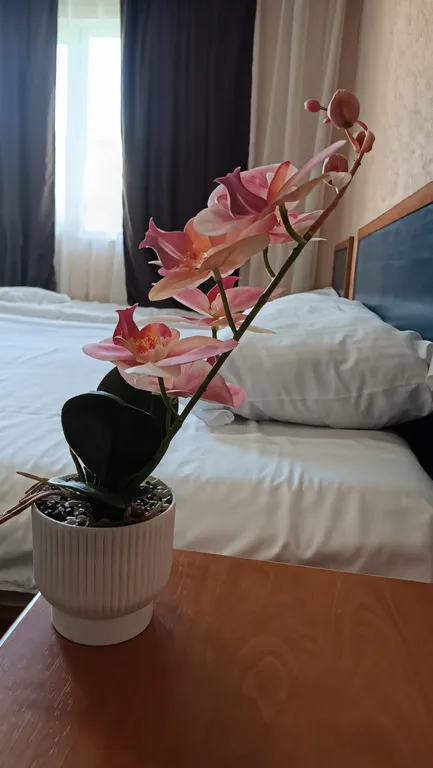 3-местный номер стандарт