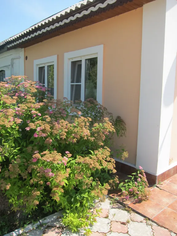 Гостевой домик студия