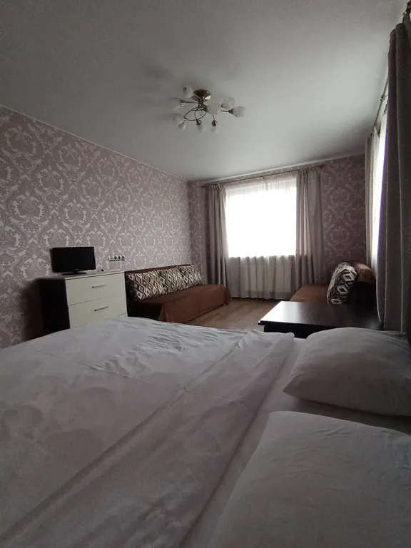 Евротрешка у ТРЦ Мега