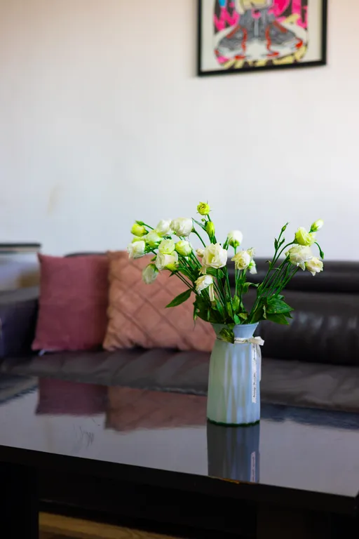 Уютная квартира на улице Кохбаци