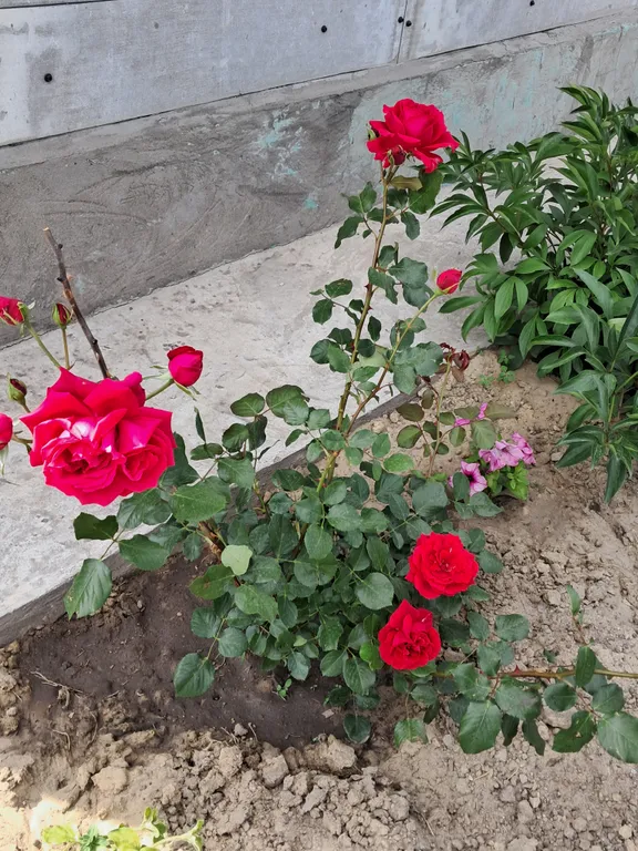 Гостевой домик на Советской рядом река Дон