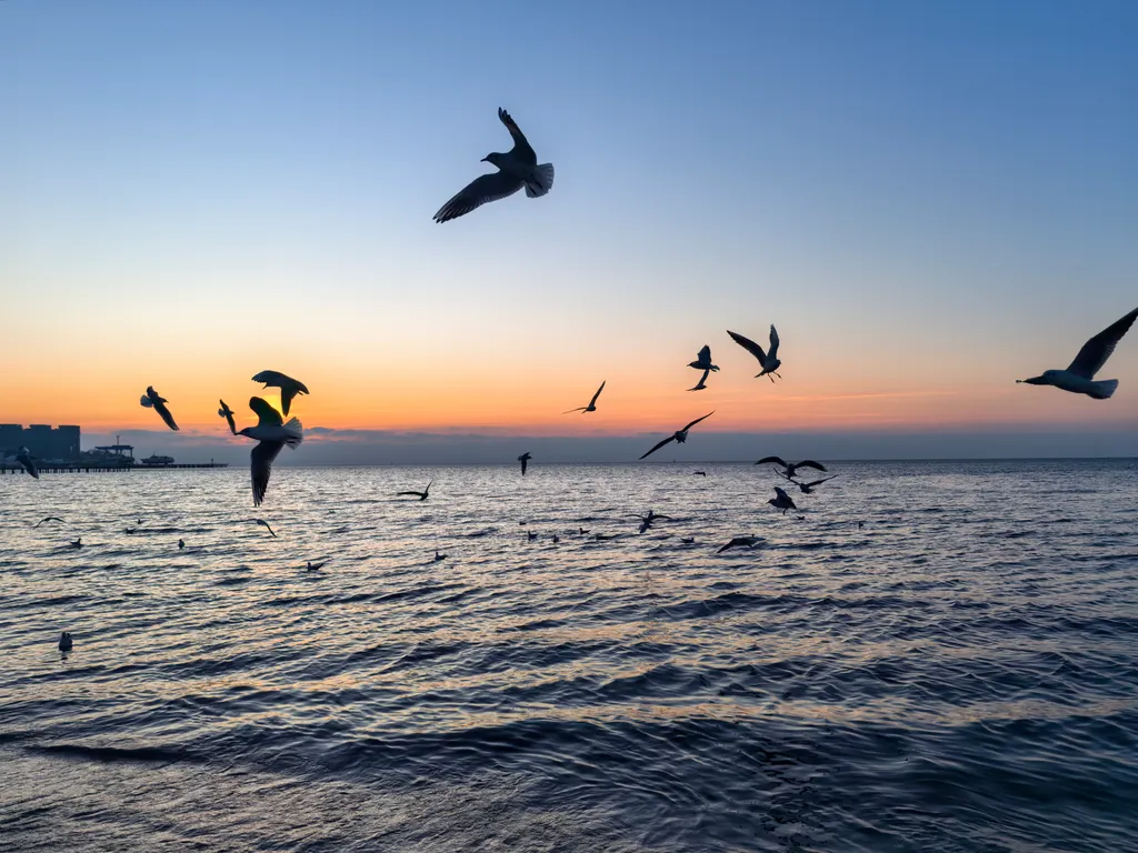 Апартаменты бизнес-класса с видом на море