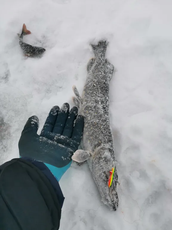 Уютный дом у реки с сауной и купелью
