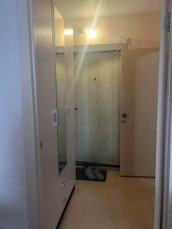 Студия Парк Плодушка